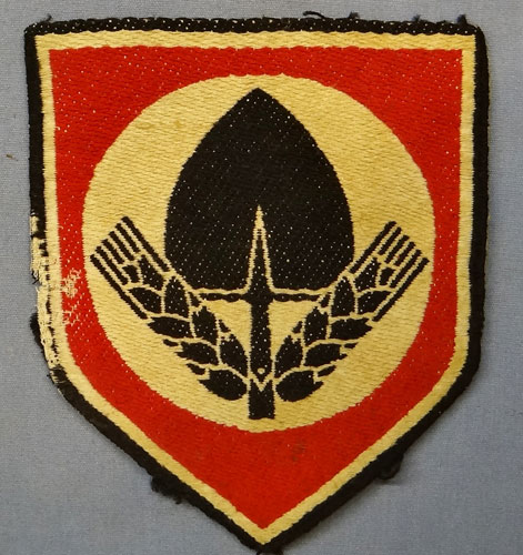 RAD Sport Insignia