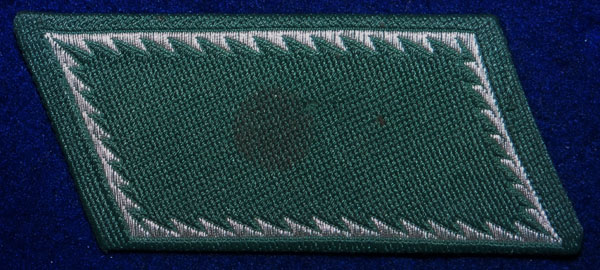 German Customs Officials Collar Tab