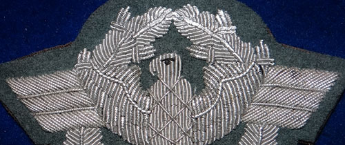 Police Officers Bullion Wire Sleeve Eagle