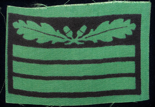 WSS-Hauptsturmfuhrer Sleeve Rank for Camouflage Clothing