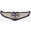 SHD / Luftschutz Breast Insignia