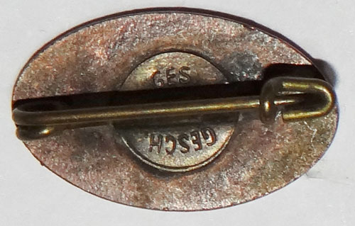 DLRG BRONZE "Grundschein" Badge