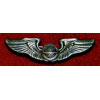 WW II "Navigator" 1-3/8 inch Pin Back Wing