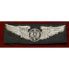 Vietnam Period Cloth 3 inch "Aircrew" Wing