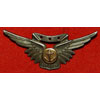 WW II U.S. Navy Pin Back "Combat Aircrew" Wing