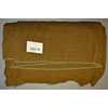WW II 1940 Dated U.S. Army Wool Blanket