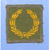 Theater Made WW II Meritorious Unit Commendation Patch