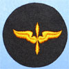 WW II USAAF "Aviation Cadet" Patch