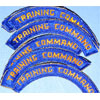 WW II USAAF "Training Command" Arcs