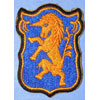 6th Cavalry Regt Patch